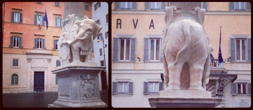Minerva's chick - Bernini's sculpture in Piazza di Santa Maria sopra Minerva 