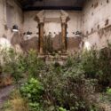 A tropical ecosystem in a deconsecrated church…in Rome!
